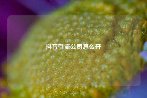 抖音引流公司怎么开