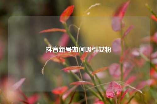 抖音新号如何吸引女粉