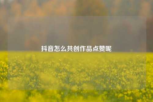 抖音怎么共创作品点赞呢