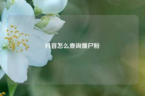 抖音怎么查询僵尸粉