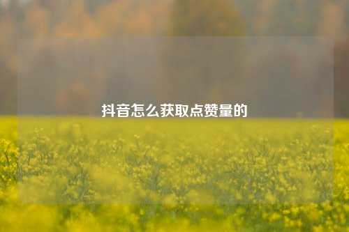 抖音怎么获取点赞量的