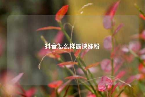 抖音怎么样最快涨粉