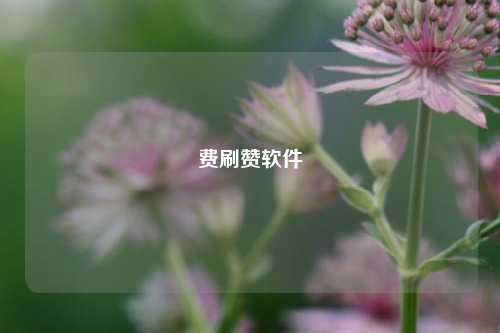 费刷赞软件
