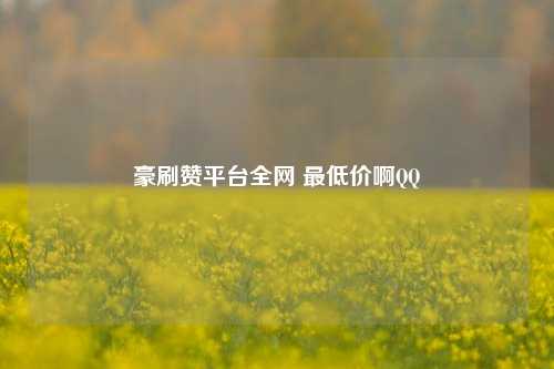 豪刷赞平台全网 最低价啊QQ