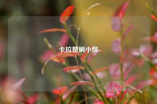 卡拉赞刷小怪