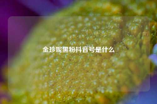 金珍妮黑粉抖音号是什么