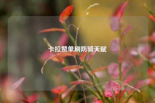 卡拉赞单刷防骑天赋