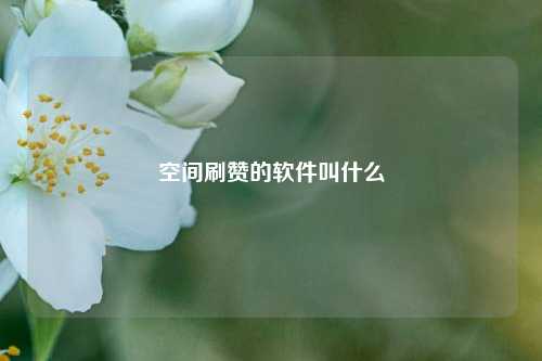空间刷赞的软件叫什么