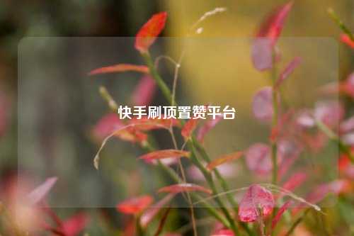 快手刷顶置赞平台