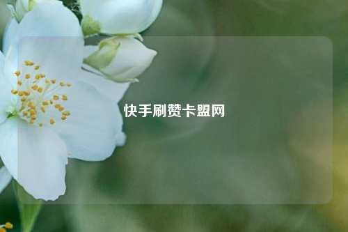 快手刷赞卡盟网