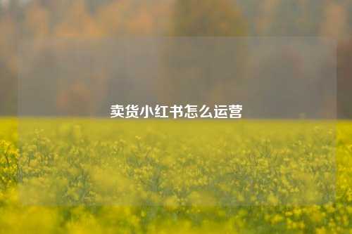 卖货小红书怎么运营