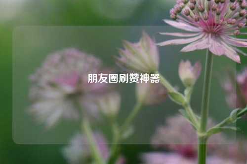朋友圈刷赞神器