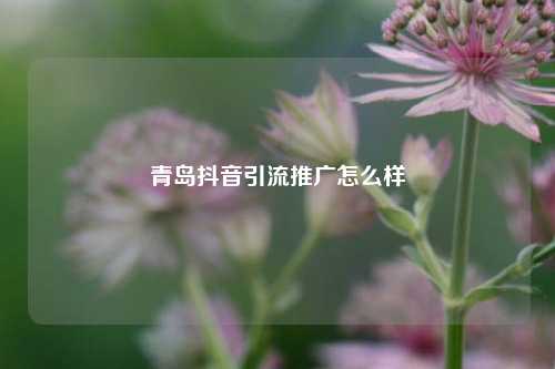青岛抖音引流推广怎么样