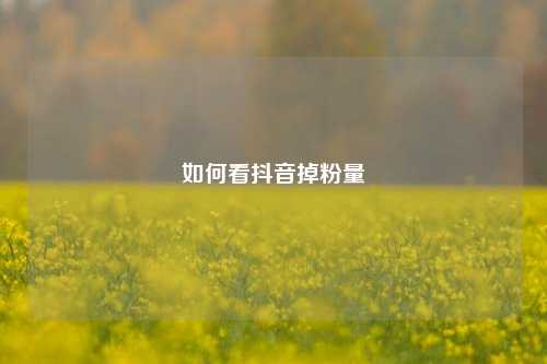 如何看抖音掉粉量