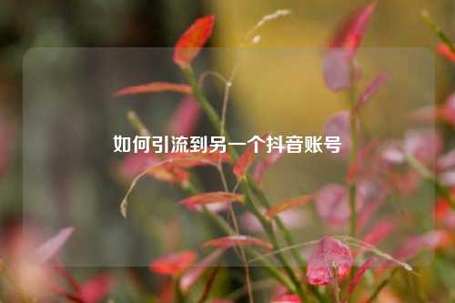 如何引流到另一个抖音账号