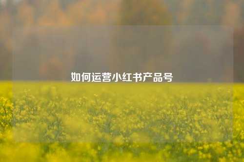 如何运营小红书产品号