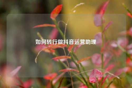 如何转行做抖音运营助理