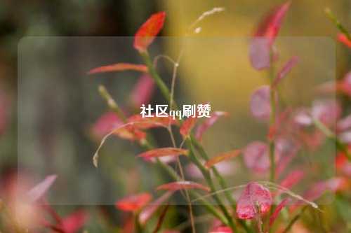 社区qq刷赞
