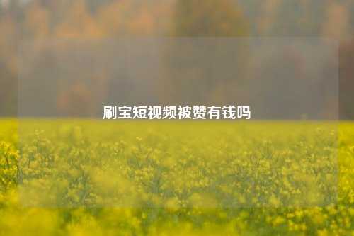 刷宝短视频被赞有钱吗