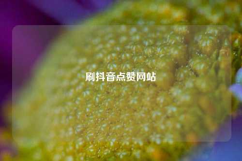 刷抖音点赞网站