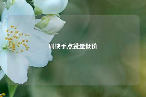 刷快手点赞量低价