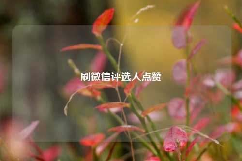 刷微信评选人点赞